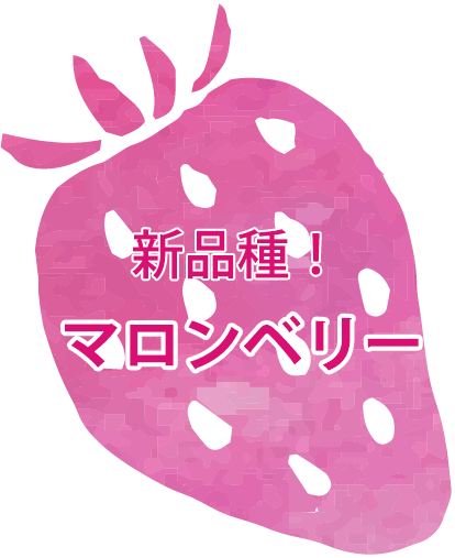 新品種！ マロンベリー